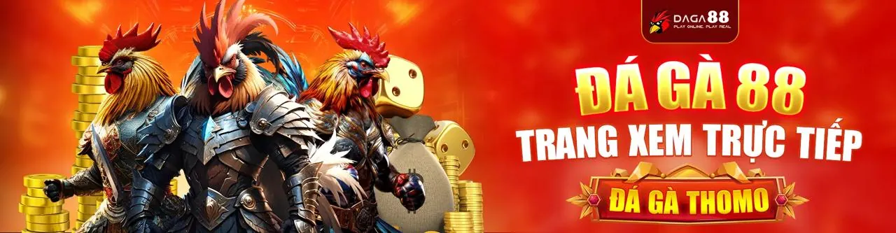 Đá Gà Trực Tuyến 77win apk